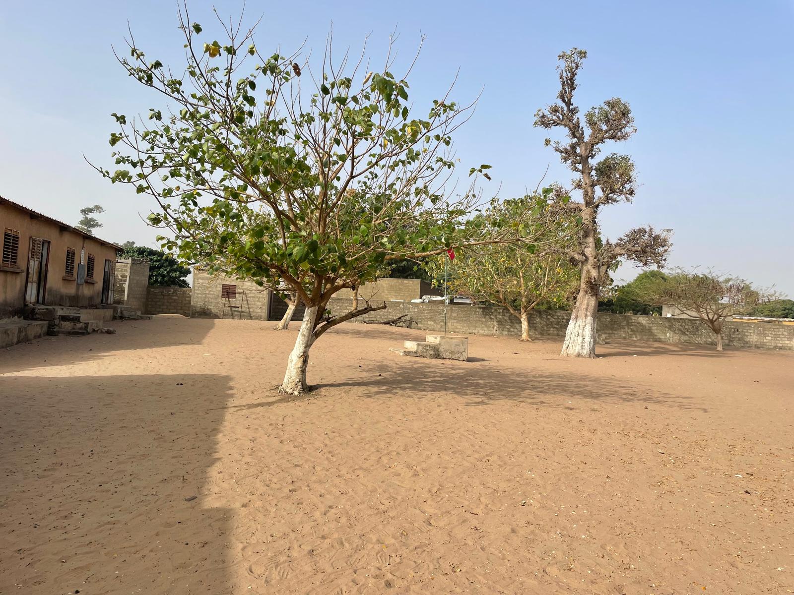 GrandirauSenegal_semaine1