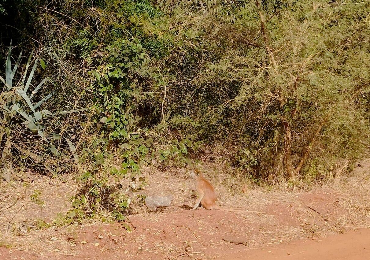 Grandir au Sénégal